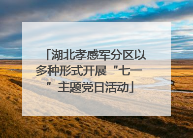 湖北孝感军分区以多种形式开展“七一”主题党日活动
