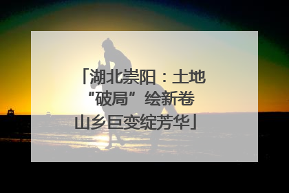 湖北崇阳：土地“破局”绘新卷 山乡巨变绽芳华
