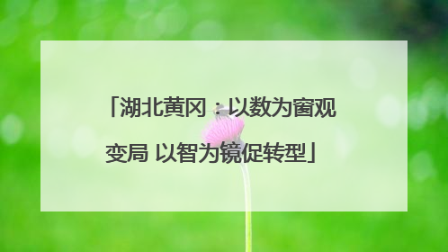 湖北黄冈：以数为窗观变局 以智为镜促转型
