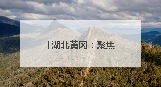 湖北黄冈：聚焦创新与质量 打造三维新模式