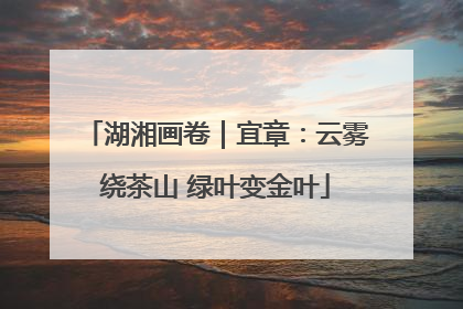 湖湘画卷｜宜章：云雾绕茶山 绿叶变金叶