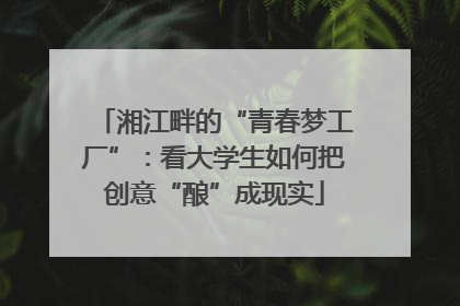 湘江畔的“青春梦工厂”：看大学生如何把创意“酿”成现实