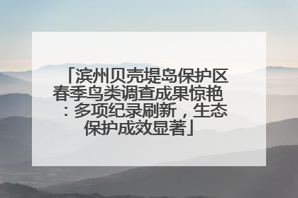 滨州贝壳堤岛保护区春季鸟类调查成果惊艳：多项纪录刷新，生态保护成效显著