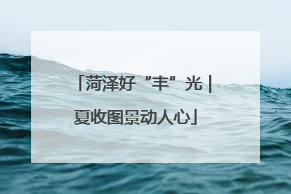 菏泽好“丰”光｜夏收图景动人心