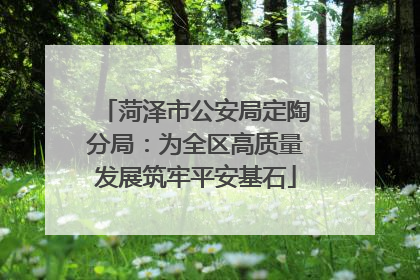 菏泽市公安局定陶分局：为全区高质量发展筑牢平安基石