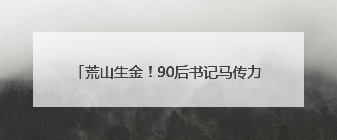 荒山生金！90后书记马传力带领张山头村书写山乡巨变