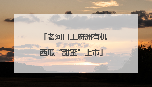 老河口王府洲有机西瓜“甜蜜”上市