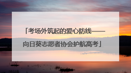 考场外筑起的爱心防线——向日葵志愿者协会护航高考