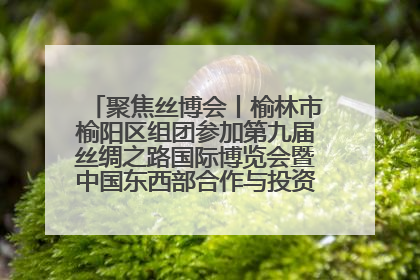 聚焦丝博会丨榆林市榆阳区组团参加第九届丝绸之路国际博览会暨中国东西部合作与投资贸易洽谈会