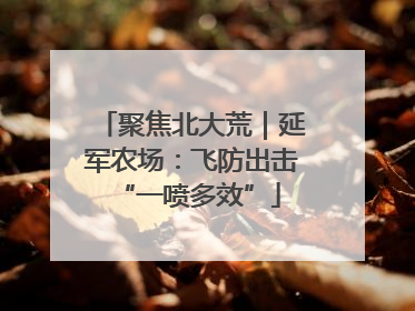 聚焦北大荒｜延军农场：飞防出击 “一喷多效”