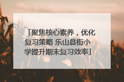 聚焦核心素养，优化复习策略 乐山县街小学提升期末复习效率
