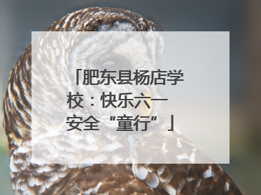 肥东县杨店学校：快乐六一 安全“童行”