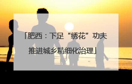 肥西：下足“绣花”功夫 推进城乡精细化治理