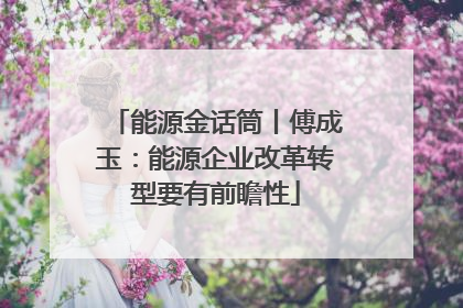 能源金话筒丨傅成玉：能源企业改革转型要有前瞻性