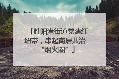 胜阳港街道党建红纽带，串起商居共治 “烟火圈”