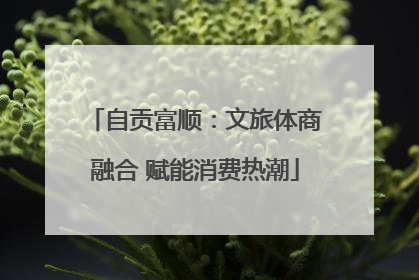 自贡富顺：文旅体商融合 赋能消费热潮