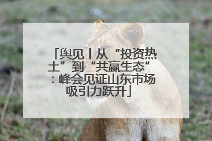 舆见丨从“投资热土”到“共赢生态”：峰会见证山东市场吸引力跃升