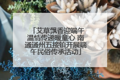 艾草飘香迎端午 温情传递暖童心 南通通州五接镇开展端午民俗传承活动