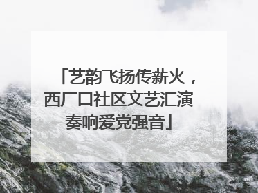 艺韵飞扬传薪火，西厂口社区文艺汇演奏响爱党强音