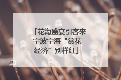 花海盛宴引客来 宁波宁海“赏花经济”别样红