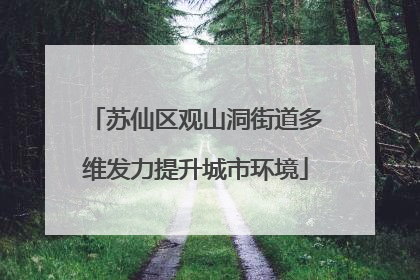 苏仙区观山洞街道多维发力提升城市环境