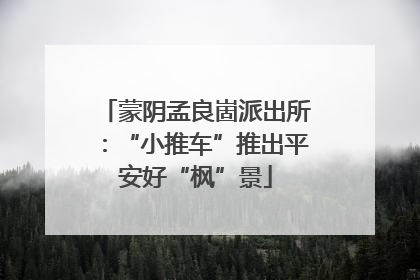 蒙阴孟良崮派出所：“小推车”推出平安好“枫”景