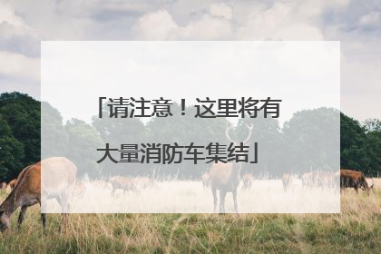 请注意！这里将有大量消防车集结