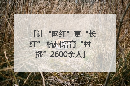 让“网红”更“长红” 杭州培育“村播”2600余人