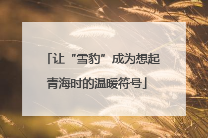 让“雪豹”成为想起青海时的温暖符号