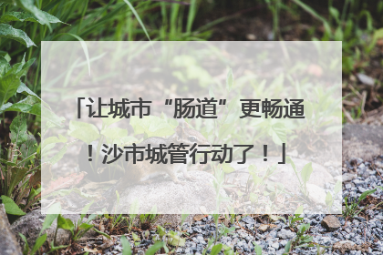 让城市“肠道”更畅通！沙市城管行动了！