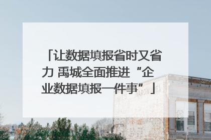 让数据填报省时又省力 禹城全面推进“企业数据填报一件事”