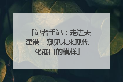 记者手记：走进天津港，窥见未来现代化港口的模样