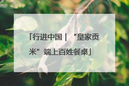 行进中国｜“皇家贡米”端上百姓餐桌