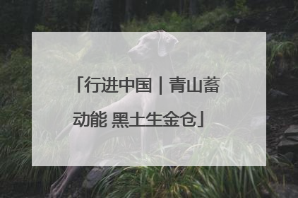 行进中国｜青山蓄动能 黑土生金仓