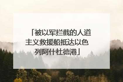 被以军拦截的人道主义救援船抵达以色列阿什杜德港