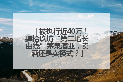 被执行近40万！肆拾玖坊“第二增长曲线”茅泉酒业，卖酒还是卖模式？