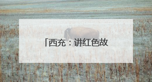 西充：讲红色故事 育爱国情怀