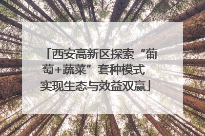 西安高新区探索“葡萄+蔬菜”套种模式 实现生态与效益双赢