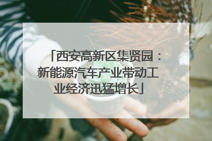 西安高新区集贤园：新能源汽车产业带动工业经济迅猛增长