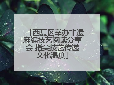 西夏区举办非遗麻编技艺阅读分享会 指尖技艺传递文化温度