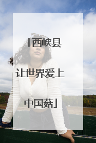 西峡县 让世界爱上中国菇