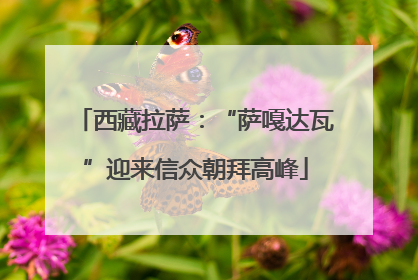 西藏拉萨：“萨嘎达瓦”迎来信众朝拜高峰