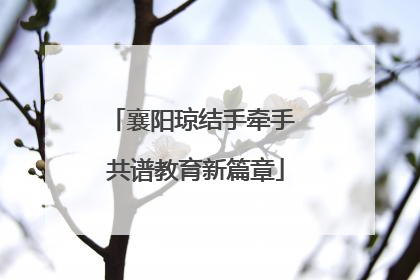 襄阳琼结手牵手 共谱教育新篇章