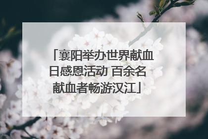 襄阳举办世界献血日感恩活动 百余名献血者畅游汉江