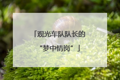观光车队队长的“梦中情岗”