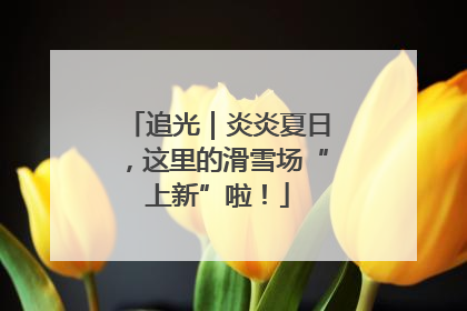 追光｜炎炎夏日，这里的滑雪场“上新”啦！
