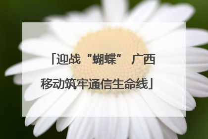 迎战“蝴蝶” 广西移动筑牢通信生命线