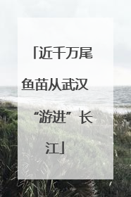 近千万尾鱼苗从武汉“游进”长江