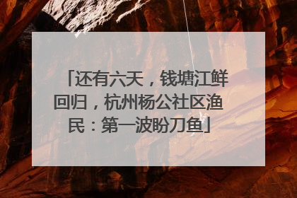 还有六天，钱塘江鲜回归，杭州杨公社区渔民：第一波盼刀鱼