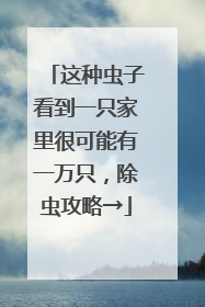 这种虫子看到一只家里很可能有一万只，除虫攻略→